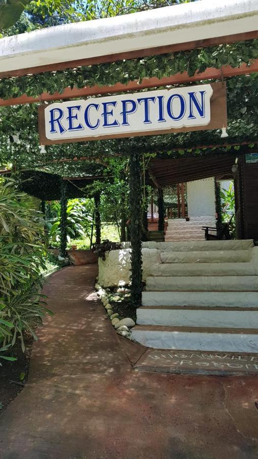 Hotel Bugabutik Puerto Viejo de Talamanca Екстериор снимка